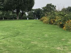 -九里河湿地公园