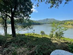-番禺大夫山森林公园
