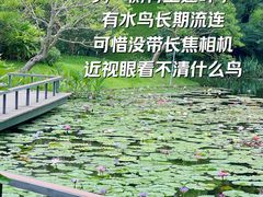 -云溪植物园