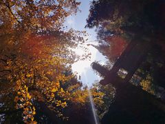 -无锡惠山寺