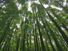 -山王坪喀斯特国家生态公园