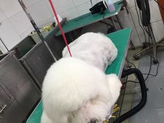 -芭比堂动物医院·犬猫全科·异宠专科(雁塔分院)