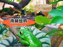 -上海大自然野生昆虫馆(东方明珠·爬宠昆虫探索中心)