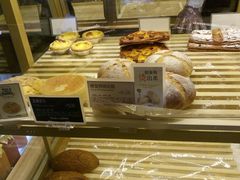 -多乐之日(公园茂店)