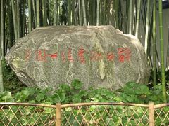 -上海醉白池公园