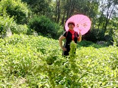 -前关湿地公园
