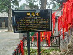-关林