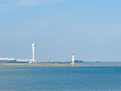 -上海滨江森林公园