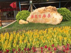 -长廊欢乐园