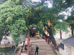 -烟桥私房菜馆(奋哥)