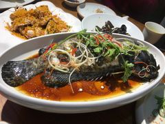 -必点海鲜·鲅鱼水饺(鞍山西道店)