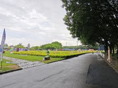 -海上田园