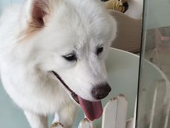 -怪兽屋·羊驼·猫咖·狗咖(俊华广场店)