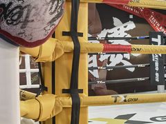 -天行健身＆天行拳馆跆拳道·格斗TXGYM