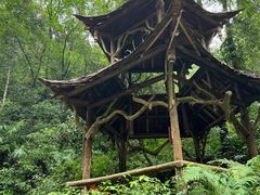 -青城山