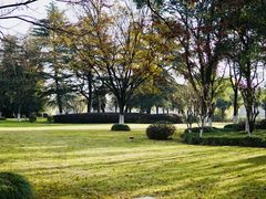 -上海市保健医疗中心