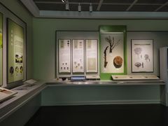 -中国茶叶博物馆(双峰馆区)