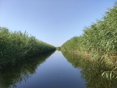 -白洋淀风景区