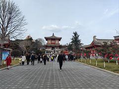 -法门文化景区