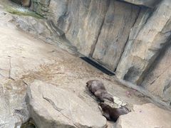 -宁波野生动物园