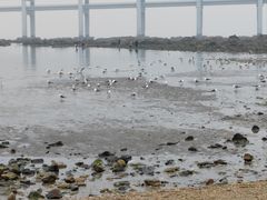 -黑石礁公园
