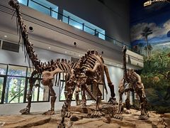 -自贡恐龙博物馆