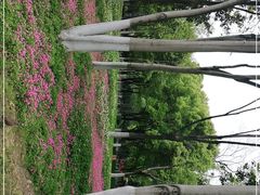 -后襄河公园