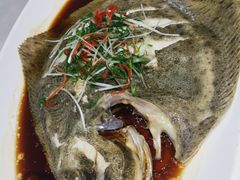 清蒸多宝鱼-鸭王烤鸭店(三里河店)