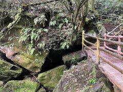 -碧峰峡风景区