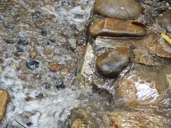 -火炉山森林公园
