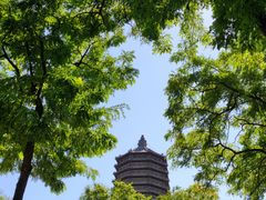 -玲珑塔公园