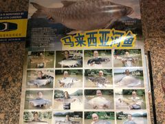 -大荣华酒楼(元朗老店)