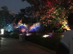 -合肥融创乐园