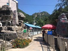 -大岭沟猕猴桃谷风景区