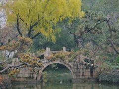-上海醉白池公园