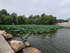 -长春世界雕塑园冰雪艺术天地