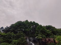 -宜兴龙背山森林公园