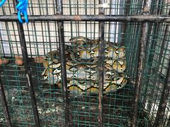 -班达海鲜餐厅