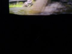 android_upload_pic-万达影城(福州世茂广场店)