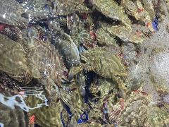 -济南海鲜大市场