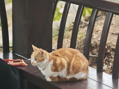 -狼山风景名胜区