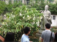 -广州神农草堂中医药博物馆