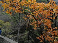 -北京上方山国家森林公园
