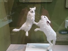 -国家自然博物馆