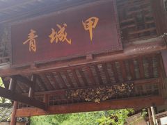 -青城甲(青城山店)