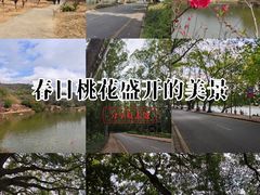 -南国桃园旅游度假区