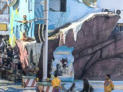 -海合安成都极地海洋公园