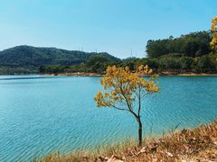 -凤岗南门山森林公园