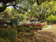 -申粤轩酒楼·三十年粤菜经典(丁香花园店)
