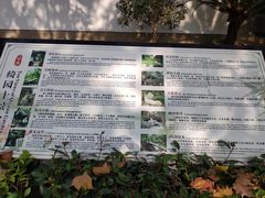 -绮园景区